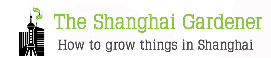 The Shanghai Gardener
