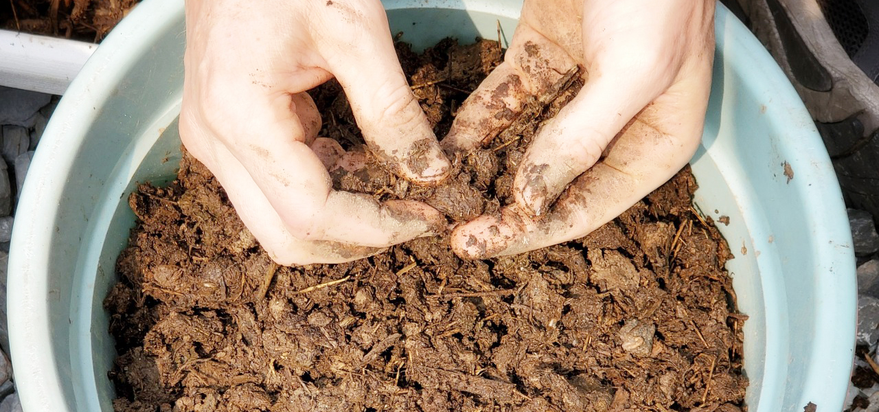 Compost2